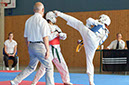 Rochlitz 2014 017