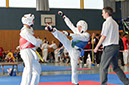 Rochlitz 2014 417