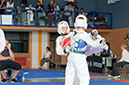 Rochlitz 2014 489