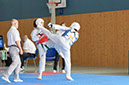 Rochlitz 2014 059