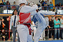 Rochlitz 2014 660