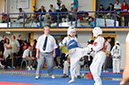 Rochlitz 2014 609