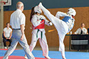 Rochlitz 2014 016