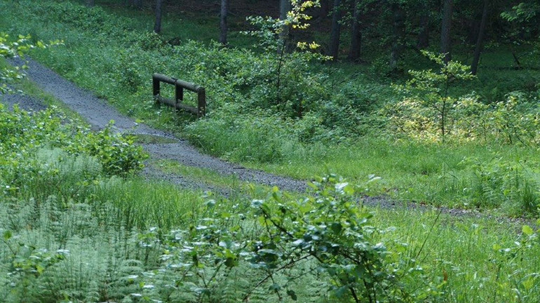 DSC00536