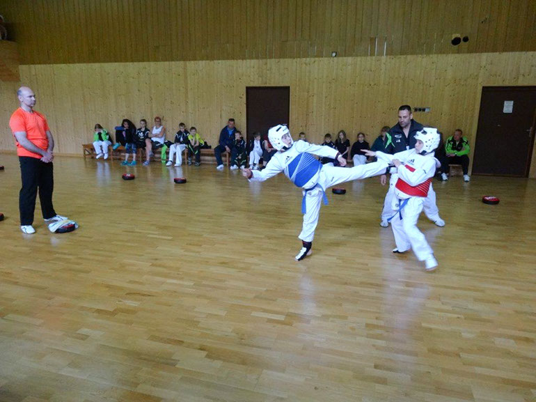 DSC02390