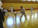 DSC01787