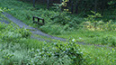 DSC00536