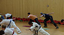 DSC00219