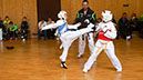 DSC00923