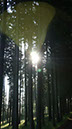 DSC00543